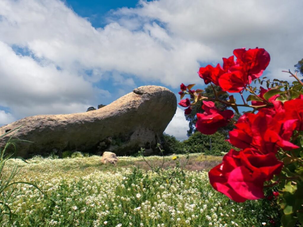 Hillside homes and scenic views in the Turtle Rock village of Irvine