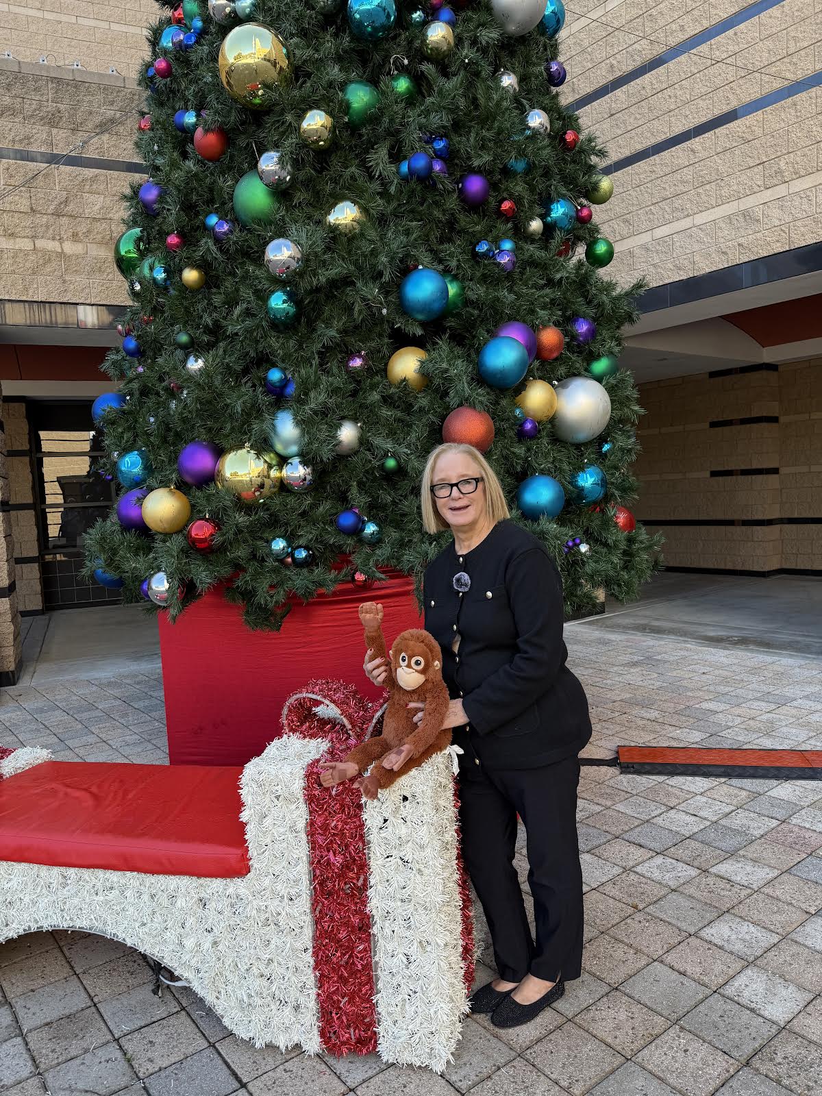 Debbie Sagorin Irvine Realtor at Irvine Civic Center promoting the Irvine 211 Marines Holiday Toy Drive